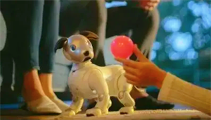 寵物芯片是什么？電子寵物能否成為精神寄托