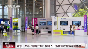 上海浦東：發(fā)布“智越計(jì)劃”構(gòu)建人工智能芯片整體評測體系