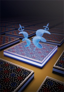 廈大團隊成功研制新型自旋固態(tài)光源芯片