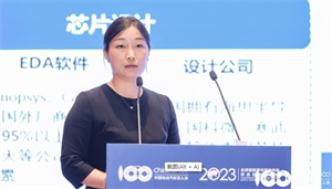 徐爾曼：2030年中國汽車芯片市場規模將達290億美元