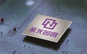 紫光國微智能安全芯片海外市場份額預計將保持較高增速