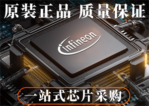 INFINEON英飛凌BTT6030-2EKA功率電子開關(guān)的中文參數(shù)、應(yīng)用領(lǐng)域和功能特點