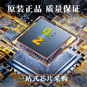 NXP恩智浦LPC1754FBD80K單片機的中文參數、應用領域和功能特點